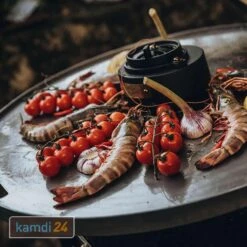 MONOLITH Feuerplatte Für LeCHEF -Küche Grill Laden monolith feuerplatte fuer lechef m 3